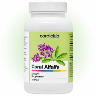 Корал Люцерна Корал Клаб | Coral Alfalfa Coral Club 2102 фото